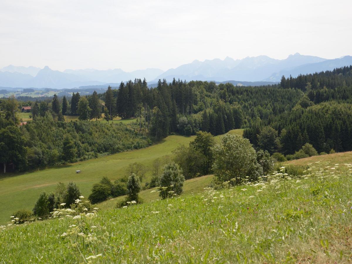 Pension Mittelallgaeu Betzigau Exterior photo